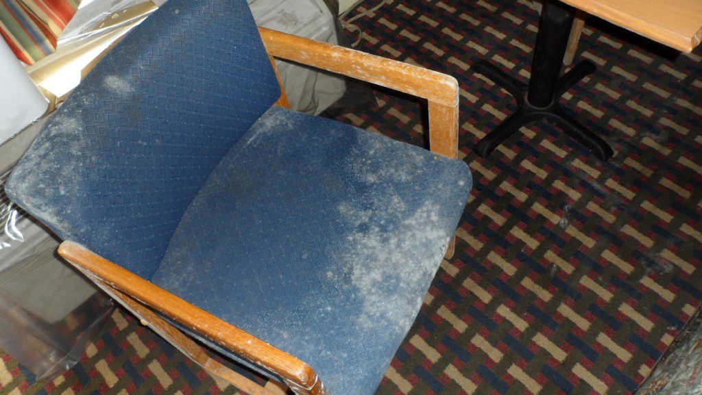 moldy chair